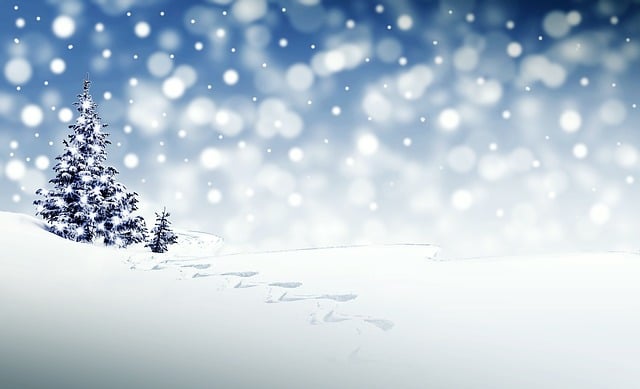 pixabay.com-christmas-3864552_640